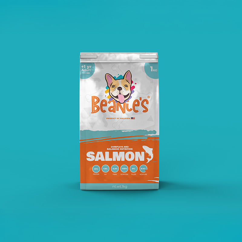 Salmon 1 kg