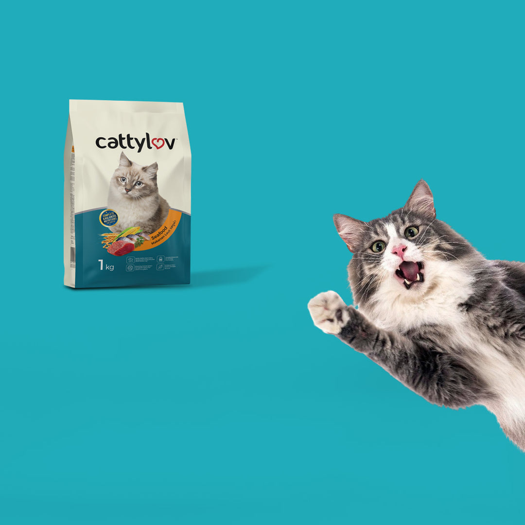 Sea Cat Food