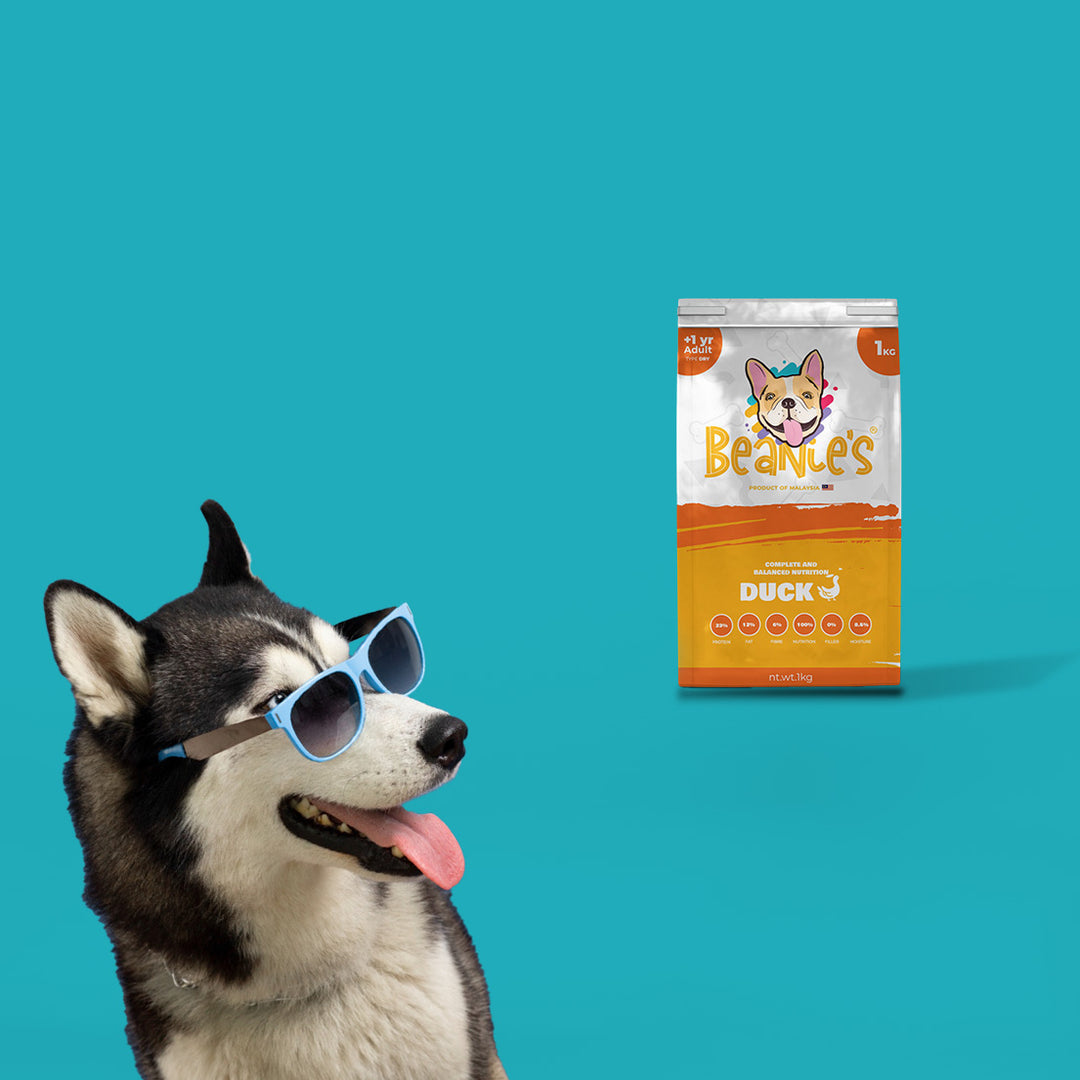 Beanies Adult Dog Food - Duck