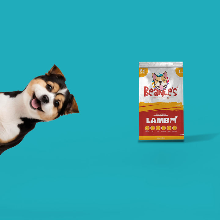 Beanies Adult Dog Food - Lamb