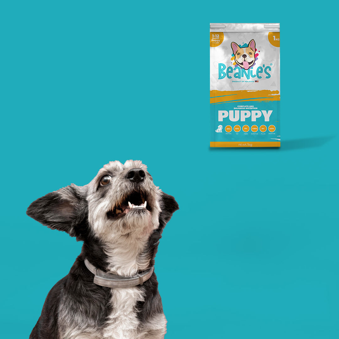 Beanies Puppy Food