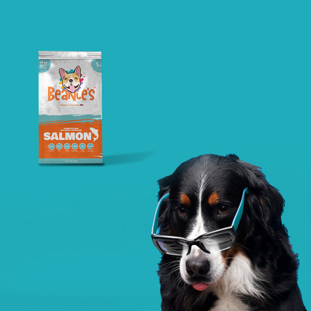 Beanies Adult Dog Food - Salmon